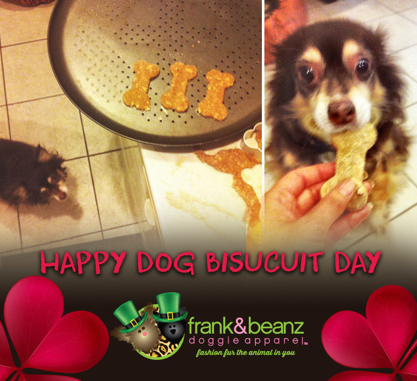 Happy National Dog Biscuit Day!
