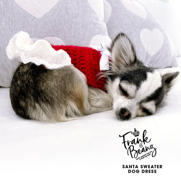 Shop All Dog Fashion