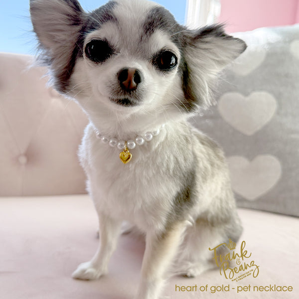 18k Heart of Gold Custom Pearl Dog & Cat Necklace