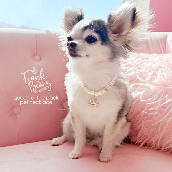Queen of the Pack Rhinestone Gold Crown Dog & Cat Necklace
