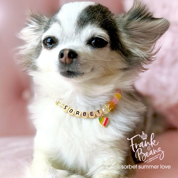 Multicolor Beaded Dog & Cat Necklace with Heart Charm