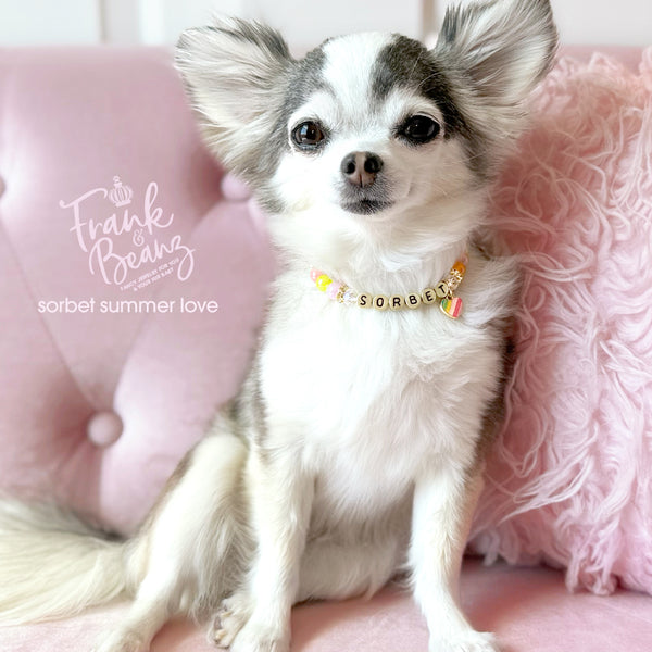 Multicolor Beaded Dog & Cat Necklace with Heart Charm