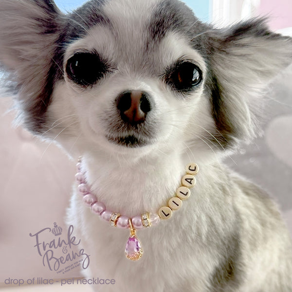 Drop of Lilac Personalized Pearl Dog Cat Necklace