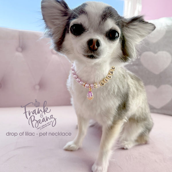 Drop of Lilac Personalized Pearl Dog Cat Necklace