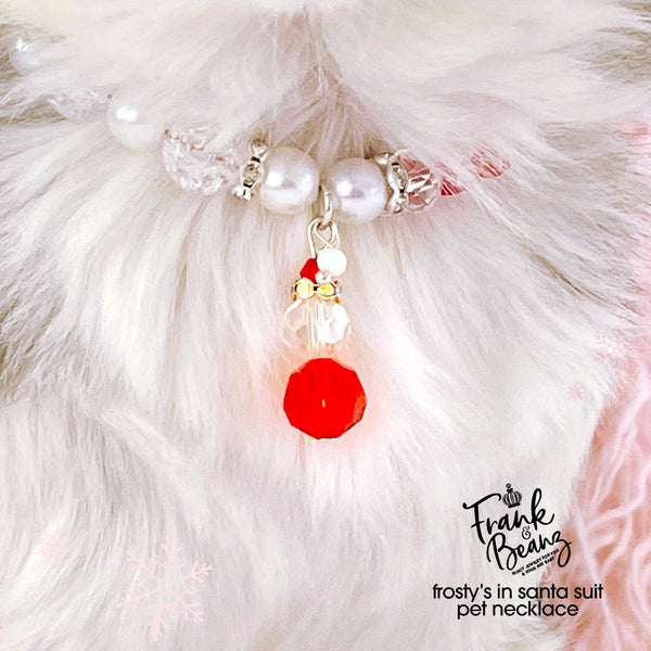 Frosty Christmas Pet Necklace for Cats Dogs Personalized Pet Jewelry