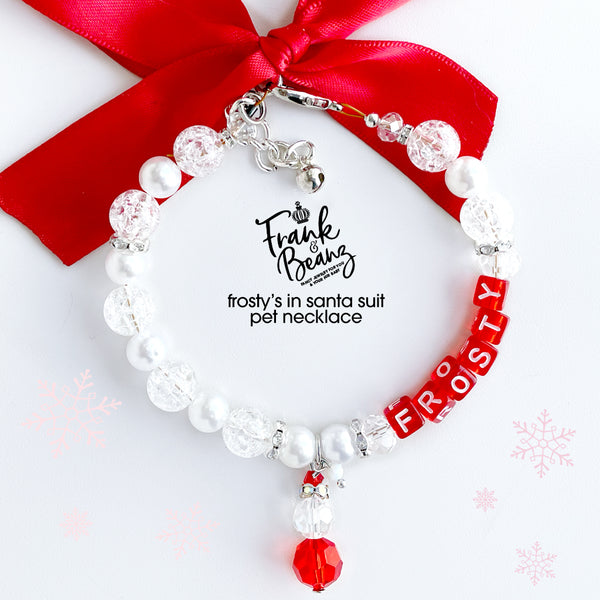 Frosty Christmas Pet Necklace for Cats Dogs Personalized Pet Jewelry