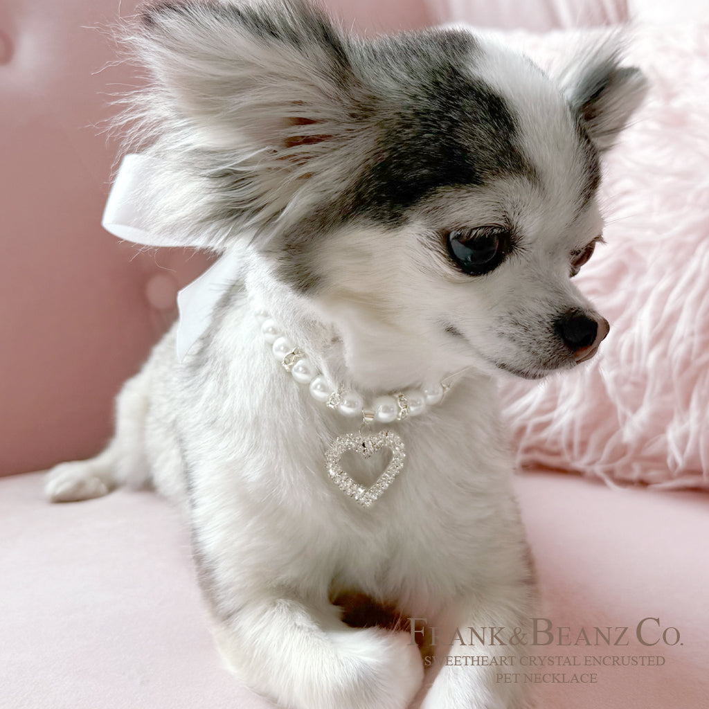 Rhinestone Heart Wedding White Pearl Pet Necklace