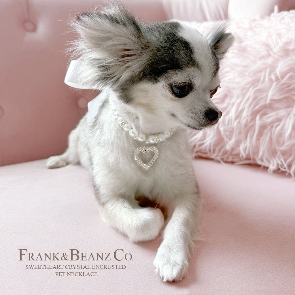 Rhinestone Heart Wedding White Pearl Pet Necklace