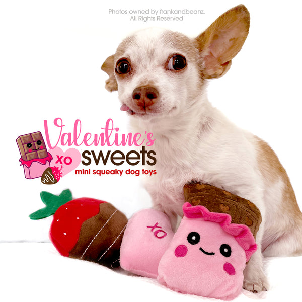 Valentines Day Plush Dog Toy Set for Small Dogs Squeaky