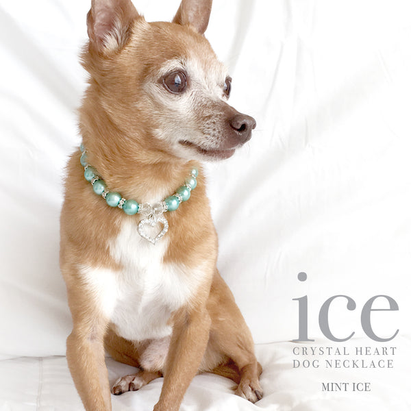 Ice-Mint Pearl and Heart Dog Collar Necklace, Dog Jewelry