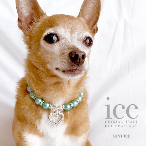 Ice-Mint Pearl and Heart Dog Collar Necklace, Dog Jewelry