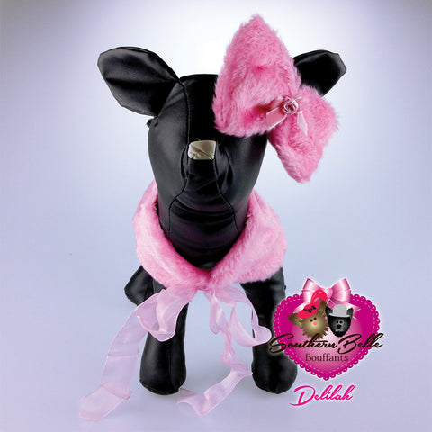 Southern Belle Dog Shawl & Bow - Delilah