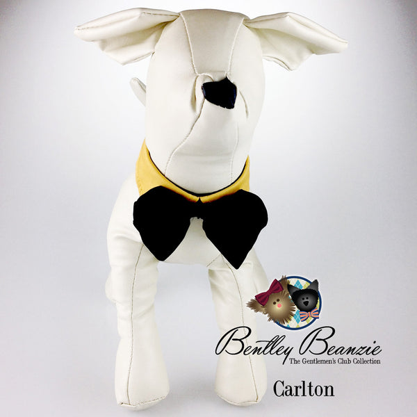 Gentlemen's Dog Bow Tie Collar Collection