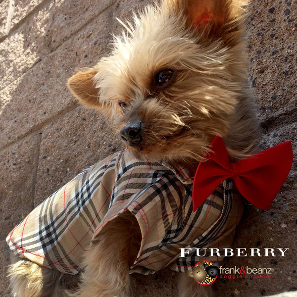 Furberry- Plaid Pattern Dog Shirt with Red Bowtie
