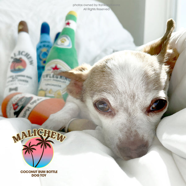 MALICHEW Rum Bottle Dog Toy