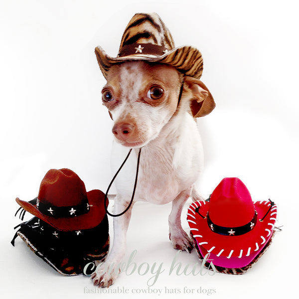 Billy the Kid Brown Cowboy Felt Dog Hat