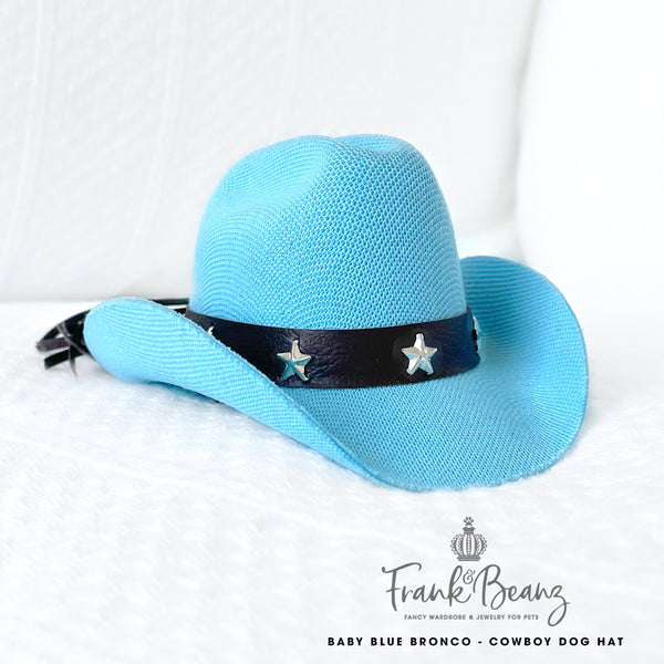Baby Blue Bronco Canvas Cowboy Dog Hats for Small Medium Dogs Costumes for Pets
