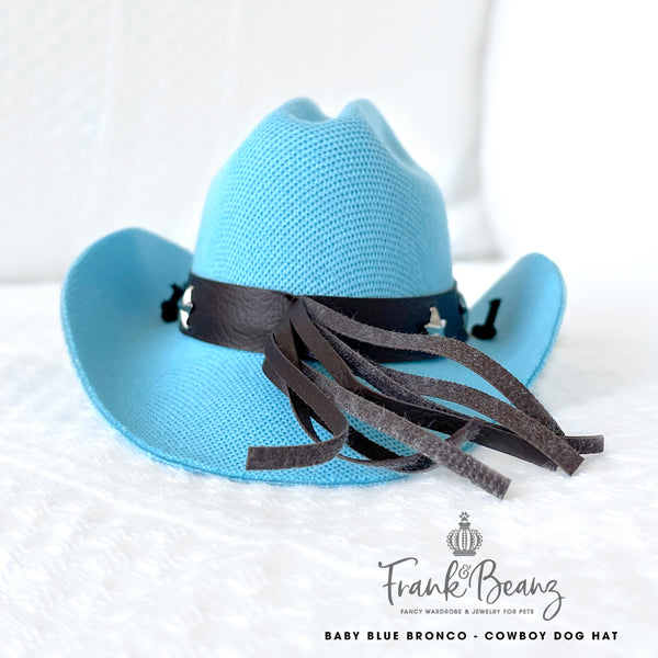 Baby Blue Bronco Canvas Cowboy Dog Hats for Small Medium Dogs Costumes for Pets