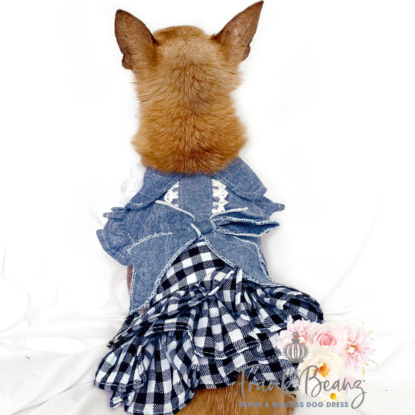 Denim & White Dahlias Dog Dress