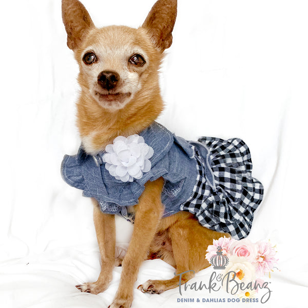 Denim & White Dahlias Dog Dress