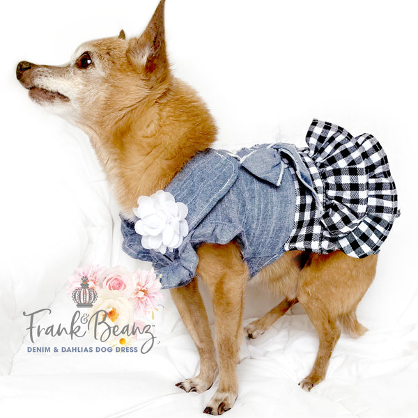 Denim & White Dahlias Dog Dress