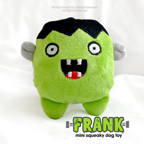 Frank the Monster Mini Dog Toy