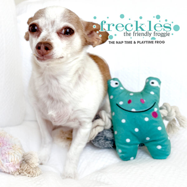 Freckles the Friendly Frog Nap Time Play Time Dog Toys