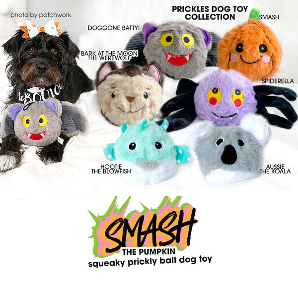 Smash the Pumpkin Rough Play Dog Toy Ball Pet Toys