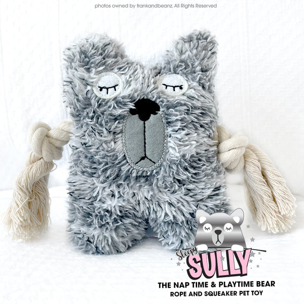 Sleepy Sully Bear Nap Time Play Time Dog Toys