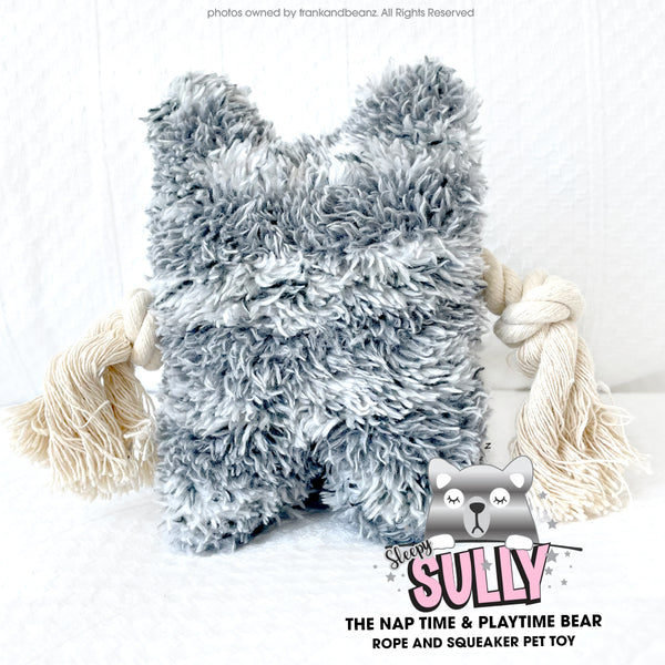 Sleepy Sully Bear Nap Time Play Time Dog Toys