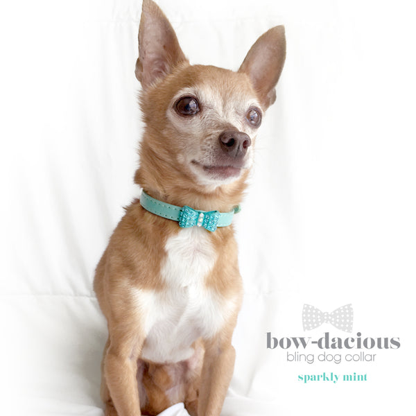 Mint Green Bowtie Bling Dog Collar- Sparkle Green