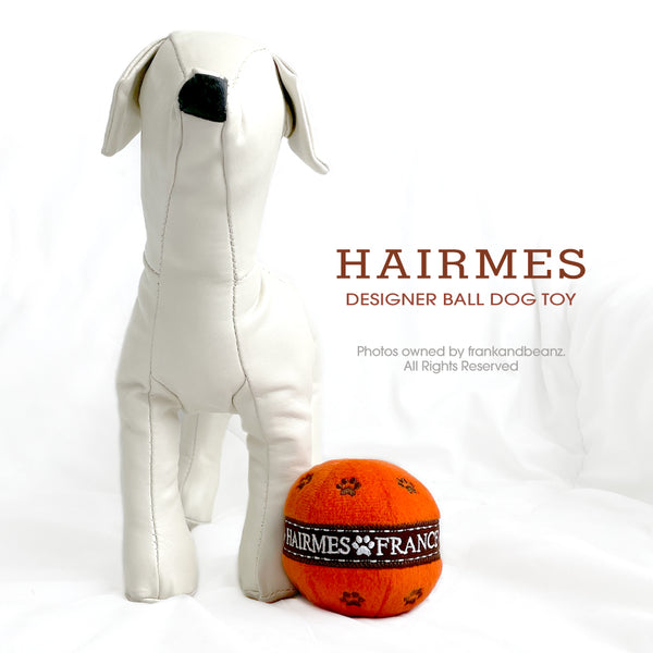 Hairmes Designer Dog Toy Catch Ball