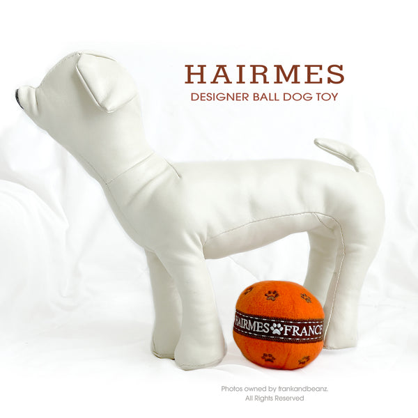 Hairmes Designer Dog Toy Catch Ball
