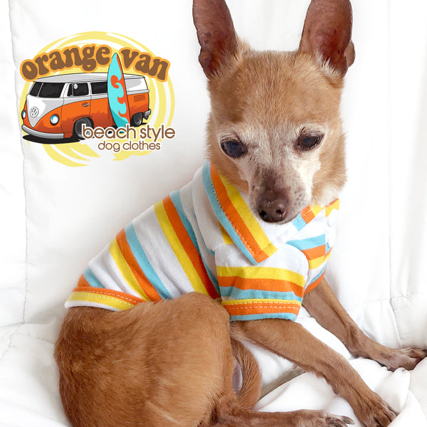 Orange Van-Tommy Sunkist Striped Dog Shirt