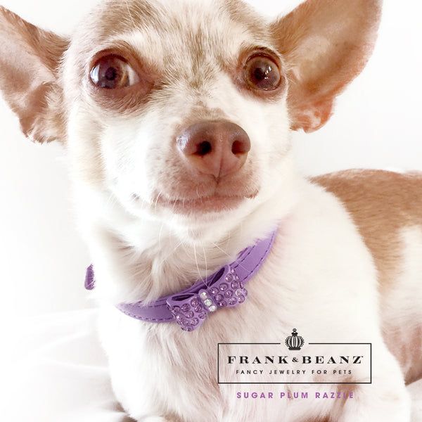 Purple Diamond Rhinestone Bowtie Bling Dog Collar