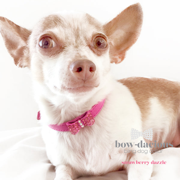 Pink Bowtie Dog Collar- Strawberry Dazzle