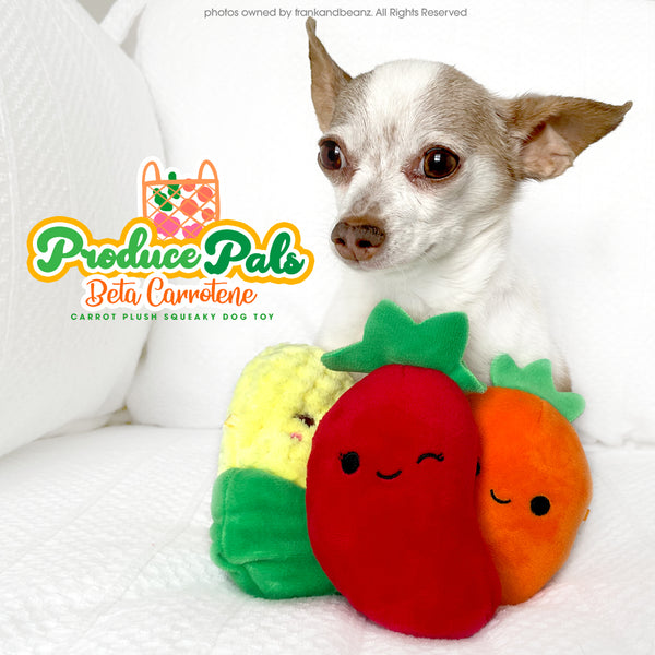 Beta Carrot-ene Mini Squeaky Dog Toys