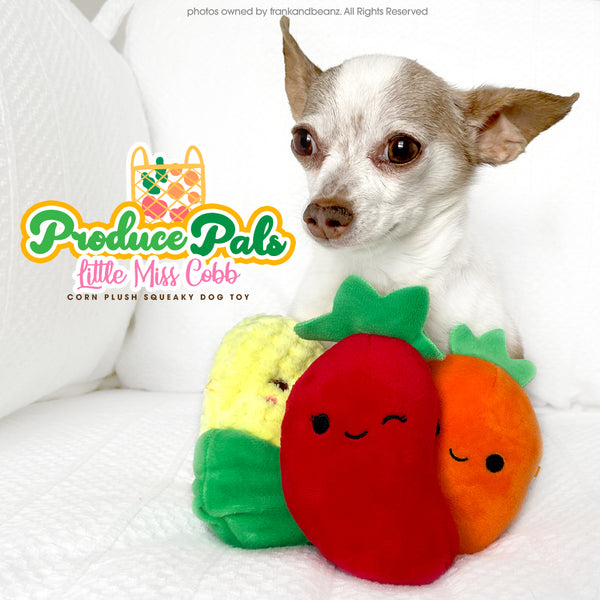 Little Ms Cobb Mini Squeaky Dog Toys