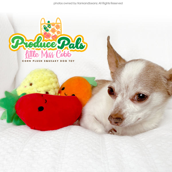 Little Ms Cobb Mini Squeaky Dog Toys