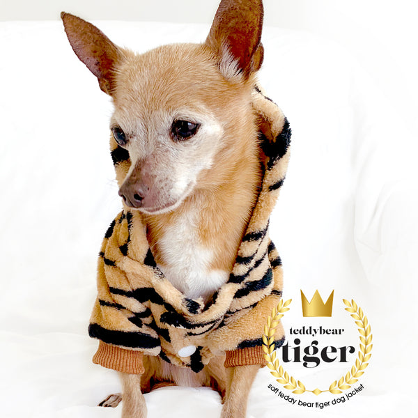 Designer Tiger Print Dog Hoodie