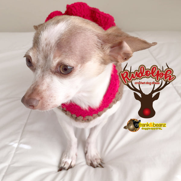 Rudolph the Reindeer Warm Winter Handmade Crochet Dog Dress